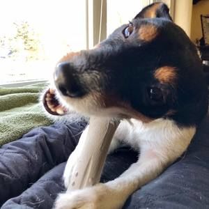 Meet your Posher, Debi